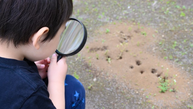 子どもならだれでも旺盛な好奇心を持っています